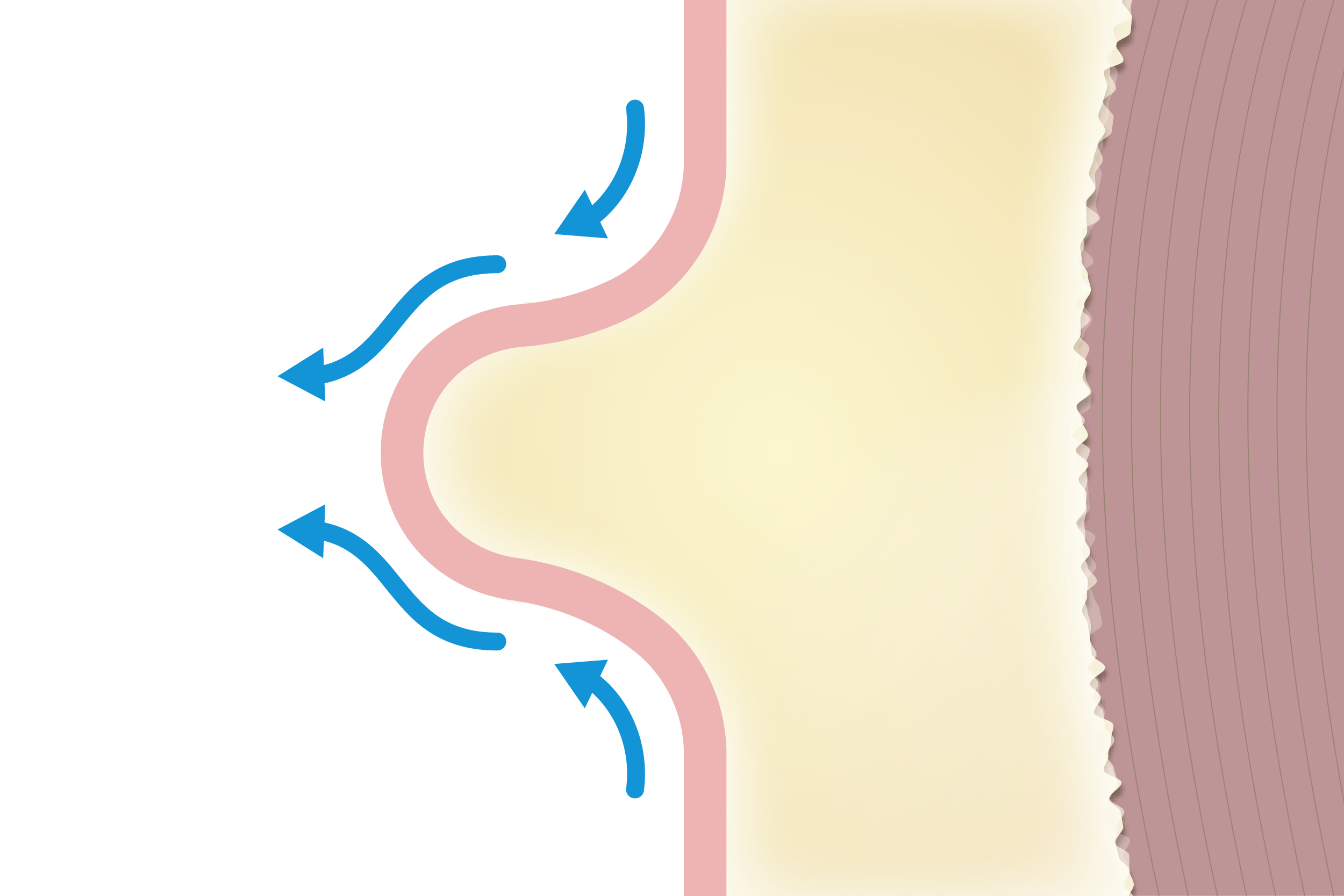 STEP2画像